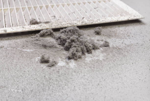 Best Emergency Air Duct Cleaning  in Mckeesport, PA