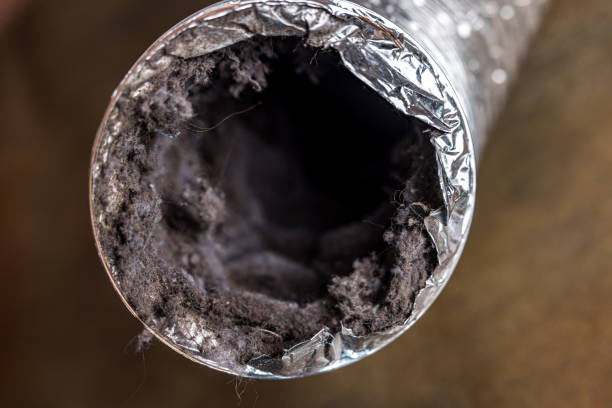 Best Air Vent Cleaning Services  in Mckeesport, PA