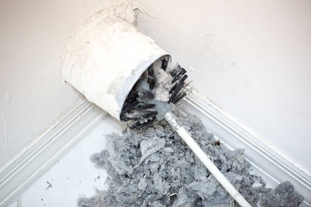 Best Local Air Duct Cleaning Services  in Mckeesport, PA